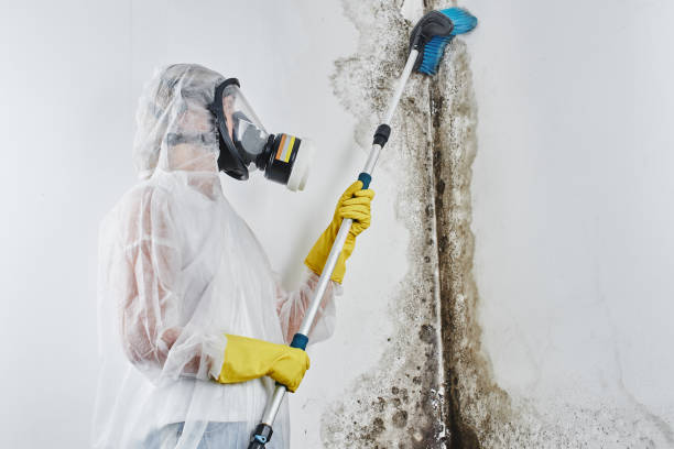 Best Commercial Mold Inspection  in Topeka, KS